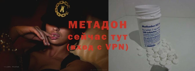 гидра Абаза