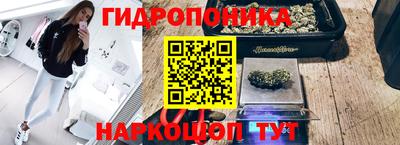 шишки Краснознаменск