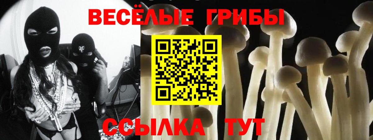 Галлюциногенные грибы Psilocybine cubensis Донской