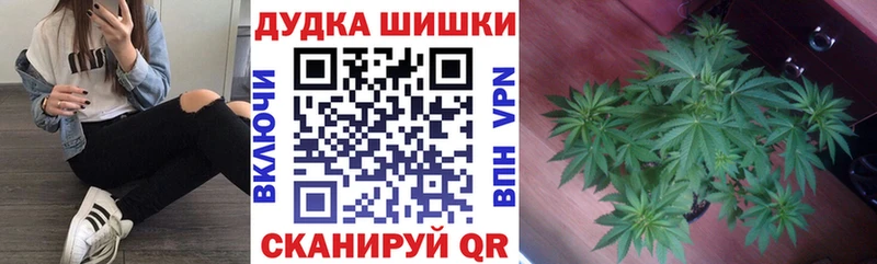 mega как зайти где купить наркотик Донской МАРИХУАНА Ganja